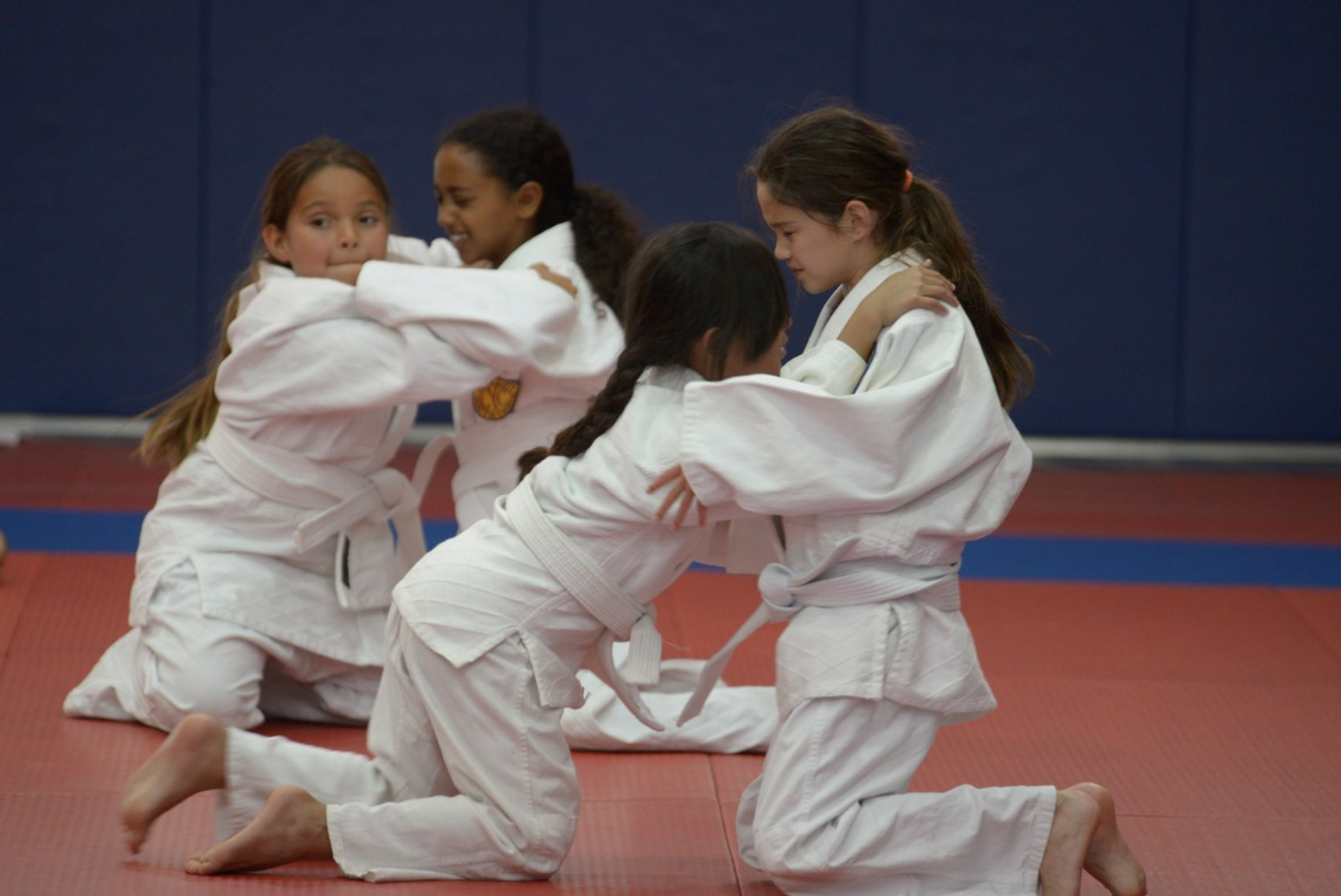 Quality Sport Programs : Judo